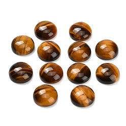 Тигровый глаз Природных тигровый глаз кабошонов, плоский зад, полукруглый, 14x4.5~6 мм