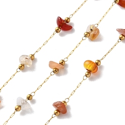 Красный Агат 304 цепи из нержавеющей стали ссылка, пайки, с естественным сердолика, с катушкой, ионное покрытие (ip), реальный 18 k позолоченный, 3~5.5x3~11.5x1~3.5 мм, около 32.81 футов (10 м) / рулон