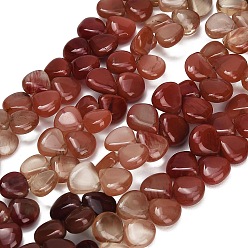 Feldspar Gradient Color Natural Andesine Feldspar Beads Strands, Teardrop, Top Drilled, 8.5~11x8~10x3~4mm, Hole: 0.3mm, about 49pcs/strand, 12.60''(32cm)