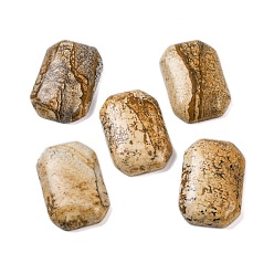 Пейзажный Джаспер Естественная картина яшма кабошоны, прямоугольные, 28.5~30x20~21x6~7 мм