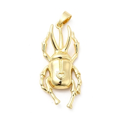 Золотой Стойки обшивки латунные подвески, долговечный, жук очарование, золотые, 37x17x4.5 мм, отверстие : 3x5.5 мм