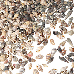 (52) Непрозрачная лаванда 150g 5 стили натуральные смешанные бусины из ракушек, неочищенные / без отверстий, разноцветные, 7~22x4~11x4~10 мм, о 30 г / стиль