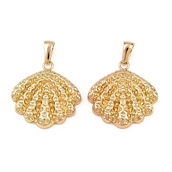 Золотой 304 подвески из нержавеющей стали, шарм в форме ракушки, золотые, 25.5x25x5 мм, отверстие : 6.5x3 мм