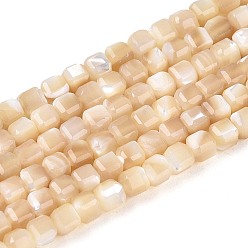 Белый Навахо Натуральная оболочка из трохидных оболочек, граненые настольные бусины в форме куба, навахо белый, 2~2.5x2~2.5x2~2.5 мм, отверстие : 0.5~0.7 мм, около 158~163 шт / нитка, 15.16~15.35 дюйм (38.5~39 см)