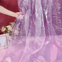 Plum Polyester Mesh Fabric for DIY Crafts, Garment Accessories, Plum, 10000x1500x0.2mm