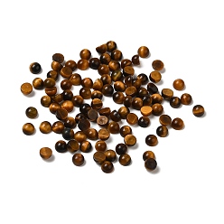 Тигровый глаз Натуральный тигровый глаз купол/полукруглые кабошоны, 3x2 мм