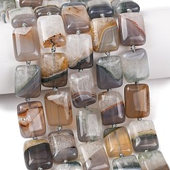 Rectangle Природный агат бисер нитей, окрашенная и подогревом, верблюжие, прямоугольные, 20x15x8~9 мм, отверстие : 1.4 мм, около 18 шт / нитка, 15.83''~15.98'' (40.2~40.6 см)