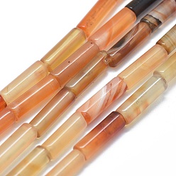 Красный Агат Природного сердолика нитей бисера, колонка, 11~15x3.5~4.5 мм, отверстие : 1~1.2 мм, около 28~30 шт / нитка, 15.1~15.9 дюйм (38.5~40.5 см)