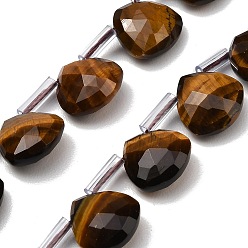 Тигровый глаз Природных тигровый глаз бисер нитей, Грановитая Teardrop, с пластиковыми трубчатыми бусинами, 12x12~12.5x5.5~6 мм, отверстие : 1 мм, около 28 шт / нитка, 15.75 дюйм (40 см)