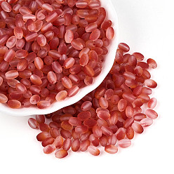 (123L) Белый крем непрозрачный блеск Бусины из матового стекла, два тона, круглое отверстие, овальные, огнеупорный кирпич, 6.5x4~4.5 мм, отверстие : 1~1.2 мм, Около 2586 шт / фунт