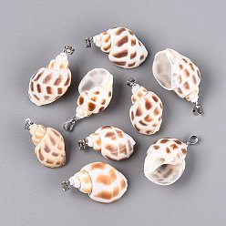 Sienna Brass & Natural Spiral Shell Pendants, Conch Charms, Platinum, Sienna, 25~36x16~23x13~20mm, Hole: 4~5x3.5mm
