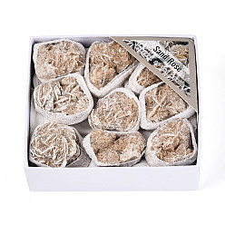 Пустынный розовый камень Природный камень «пустынная роза», жеода, рог изобилия, минеральный образец, кластер необработанных кристаллов, Целебный кристалл в подарок для домашнего декора, с бумажной коробкой, 25~46x15~35x8~32 мм