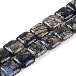 Glaucophane Бусы из натурального глаукофана, квадратный, 13.5~14x13.5~14x5~6 мм, отверстие : 1 мм, около 30 шт / нитка, 16.14 дюйм (41 см)