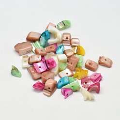 Разноцветный Крашеные натуральные пресноводные ракушки, осколки оболочки, красочный, 7~11x5~8 мм, отверстие : 1 мм, Около 980 шт / 500 г