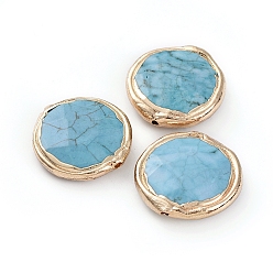 Говлит Бусины из природных Говлит, окрашенная и подогревом, с позолоченными краями из латуни, плоско-круглые, 22.5~23x6 мм, отверстие : 1.5 мм