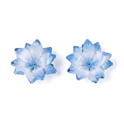 Васильковый Термоусадочные акриловые колпачки, мульти-лепесток цветка, васильковый, 26~29x26~29x7~9 мм, отверстие : 1~1.2 мм