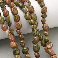 Unakite Natural Unakite Beads Strands, Tumbled Stone, Nuggets, 6~13x5~8x4~8mm, Hole: 0.7mm, about 17~22pcs/strand, 6.89~7.09 inch(17.5~18cm)