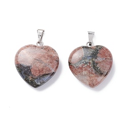 Gemstone Подвески из натурального глаукофана, сердце, с латунной фурнитурой , платина, 22~23x20~20.5x6~7.5 мм, отверстие : 5x8 мм