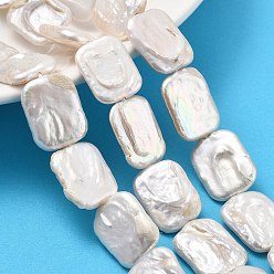 Морская Ракушка Натуральный жемчуг в стиле барокко кеши, культивированный пресноводный жемчуг, прямоугольные, класс 3а+, цвет морской раковины, 18~28x13~16x3~9 мм, отверстие : 0.5~0.6 мм, около 16~22 шт / нитка, 14.57''~15.75'' (37~40 см)