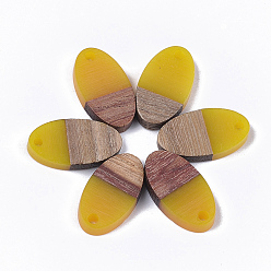 Золотистый Подвески из смолы и ореха, овальные, золотые, 20x11x3.5 мм, отверстие : 1.8 мм