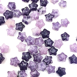Lépidolite Perles de lépidolite naturelle, étoiles, 10x5mm, 21 pièces / kit