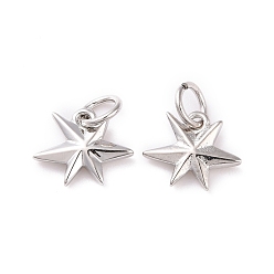 Платина Латунь прелести, с целью перехода в кольце, без кадмия и без свинца, звезда, платина, 8.5x10.5x2 мм, отверстие : 3 мм
