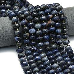 Содалитовое Природный содалит бисер нитей, форма тыквы, с бисером, 12~12.5x8~8.5 мм, отверстие : 1 мм, около 36~37 шт / нитка, 15.20'' (38.6 см)