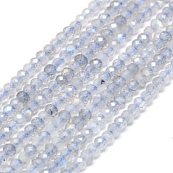 Лабрадорита Природные лабрадорита бисер нитей, граненые, рондель, 2~2.5x2 мм, отверстие : 0.5 мм, около 223~226 шт / нитка, 14.96~15.16 дюйм (38~38.5 см)