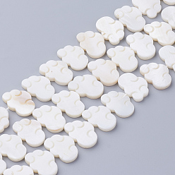 Морская Ракушка Натуральный белый бусы, перламутровые бусы, облако, цвет морской раковины, 14x20x3 мм, отверстие : 1 мм