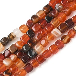 Шоколадный Нити бусин из натурального агата с прожилками дракона (окрашенные и нагретые), кубические, цвет шоколада, 5~6x5~6x5~6 мм, отверстие : 0.8 мм, около 62~66 шт / нитка, 14.57~14.96'' (37~38 см)