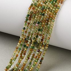 Турмалин Нити из натуральных желто-зеленых турмалиновых бусин, граненые, круглые, класс АА, 2~2.5 мм, отверстие : 0.5 мм, около 195 шт / нитка, 15.35'' (39 см)