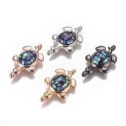 (52) Непрозрачная лаванда Соединители звеньев раковины морского ушка / ракушки пауа, с латунной фурнитурой , Морская черепаха, разноцветные, 12.5x21x4 мм, отверстие : 1.2 мм