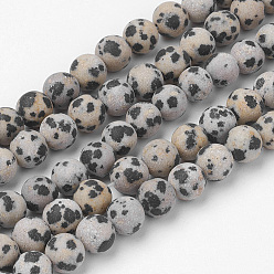 Далматинских Джаспер Естественно Далматин яшма шарик нити, круглые, матовые, 6~6.5 мм, отверстие : 1 мм, около 60 шт / нитка, 14.9 дюйм (38 см)