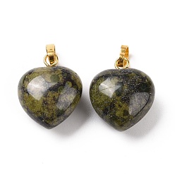 Кровь драконов Натуральные подвески для крови дракона, с фурнитурой латунной золотого тона, шарма сердца, 18x15~15.5x6~8 мм, отверстие : 6x3 мм