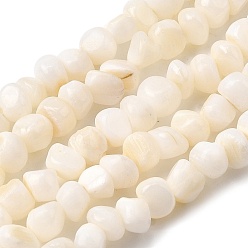 Морская Ракушка Естественных пресноводных оболочки бисер нитей, самородки, цвет морской раковины, 5~6.5x5~6.5x3.5~6 мм, отверстие : 1 мм, 14.76~15.35'' (37.5~39 см)