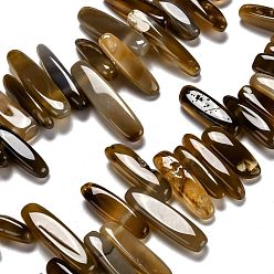 Седло Коричневый Природный агат бисер нитей, Топ пробуренной, самородки, седло коричневый, 22.5~42x6.5~12x5.5~12 мм, отверстие : 1.8 мм, около 43~56 шт / нитка, 15.55~15.7 дюйм (39.5~40 см)