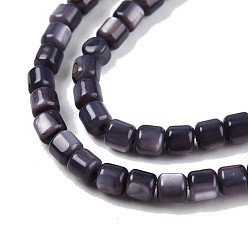 Dark Slate Blue Natural Freshwater Shell Beads Strands, Dyed, Column, Dark Slate Blue, 3.5x3.5mm, Hole: 0.8mm, about 110~113pcs/strand, 14.69 inch~15.08 inch(37.3~38.3cm)