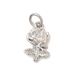 Платина Латунные подвески, , долговечный, без свинца и без кадмия, стойки покрытие, с целью перехода в кольце, платина, 13x7.5x3 мм, отверстие : 3.5 мм