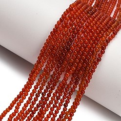 Красный Агат Природного сердолика нитей бисера, круглые, окрашенная и подогревом, 2~2.5 мм, отверстие : 0.5 мм, около 174~178 шт / нитка, 14.96''~15.16'' (38~38.5 см)
