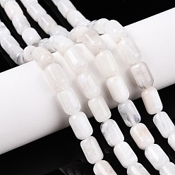 Rainbow Moonstone Бусины из натурального радужного лунного камня, колонка, 9~9.5x6~6.5 мм, отверстие : 0.9~1 мм, около 20~21 шт / нитка, 7.28~7.6'' (18.5~19 см)