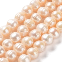 PeachPuff Natural Cultured Freshwater Pearl Beads Strands, Potato, Grade AB, PeachPuff, 10~12x9~11mm, Hole: 0.6mm, about 34pcs/strand, 13.98''(35.5cm)