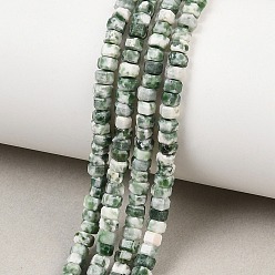 Камень с Зелеными Точками Натуральные зеленые пятна яшмовых нитей, граненые, шестиугольник, 4x4x2~2.5 мм, отверстие : 0.9 мм, около 156 шт / нитка, 15.24'' (38.7 см)