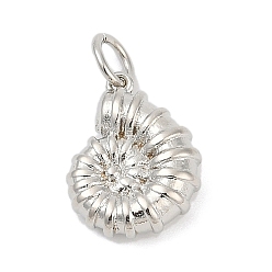 Платина Латунь прелести, раковина, с целью перехода в кольце, стойки покрытие, без кадмия и без свинца, долговечный, платина, 14x11x4.5 мм, отверстие : 3 мм