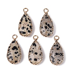 Dalmatian Jasper Natural Dalmatian Jasper Faceted Pendants, Brass Teardrop Bezeled Charms, Golden, 24~25x10.5~11.5x5~5.5mm, Hole: 2mm