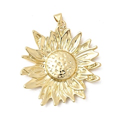 Настоящее золото 18K Латунные подвески, , долговечный, стойки покрытие, без свинца и без кадмия, реальный 18 k позолоченный, 39.5x36x3.5 мм, отверстие : 5x3.5 мм