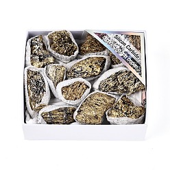 Угольный Кварц 8~12 шт. гальванизированный природный уголь кварцевый образец минерала жеода рог изобилия, кластер необработанных кристаллов, Целебный кристалл в подарок для домашнего декора, с бумажной коробкой, 27~49x16~43x7~32 мм