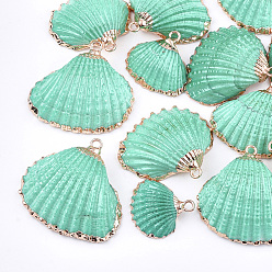 Turquoise Spray Paint & Electroplate Sea Shell Pendants, with Iron Findings, Light Gold, Turquoise, 16~26x17~28x7~10mm, Hole: 2mm