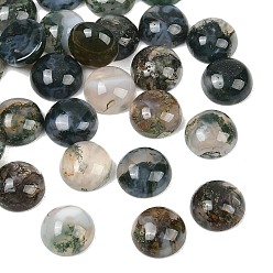 Half Round Природные моховой агат кабошонов, полукруглый, 10~10.5x4.5~5 мм