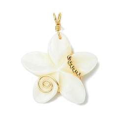 Белый Подвески из натуральных резных пресноводных ракушек, подвески-цветы с медной проволокой и латунными бусинами, золотые, белые, 40~41x32~33x6 мм, отверстие : 4 мм