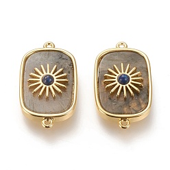 Лабрадорита Соединители из натурального лабрадорита и лазурита, с долговечной позолоченной латунной фурнитурой из настоящего 18 k золота, прямоугольные, 28x16x6.2 мм, отверстие : 1.2 мм